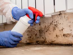 Why You Should Choose Our Mold Remediation Services in Shady Spring, WV